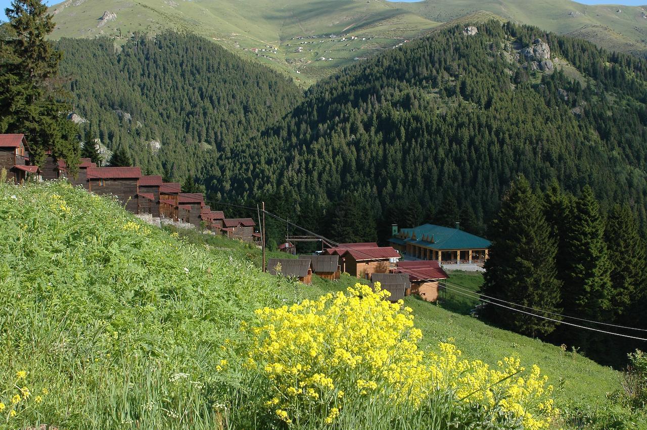 Zitas Zigana Yayla Tatil Koyu Macka מראה חיצוני תמונה