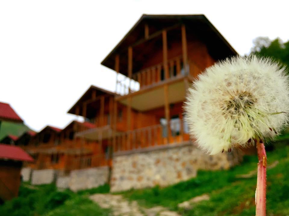 Zitas Zigana Yayla Tatil Koyu Macka מראה חיצוני תמונה